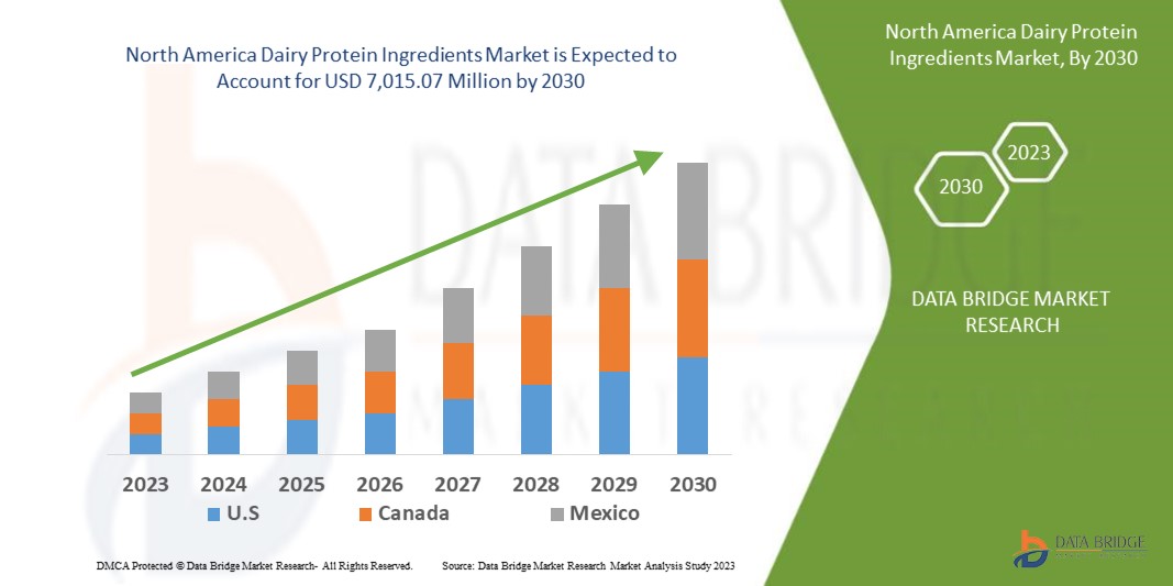North America Dairy Protein Ingredients Market