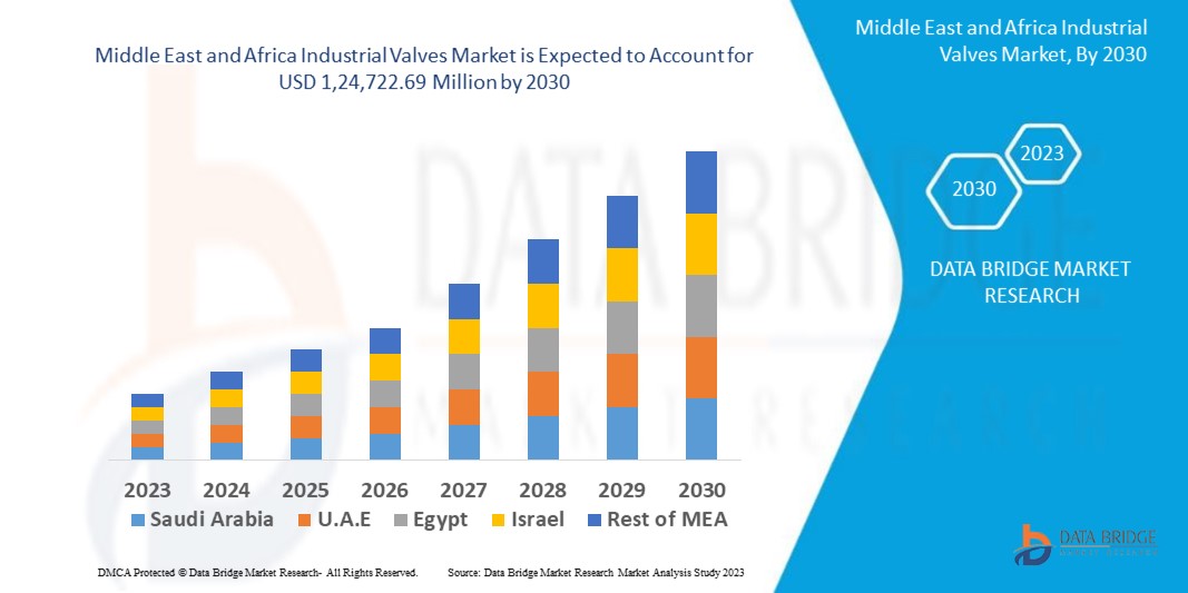 Middle East and Africa Industrial Valves Market 