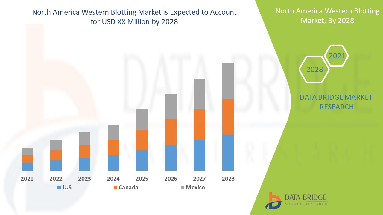 North America Western Blotting Market 
