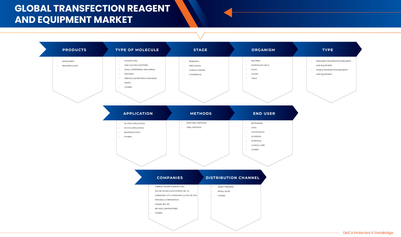 Transfection Reagent and Equipment Market
