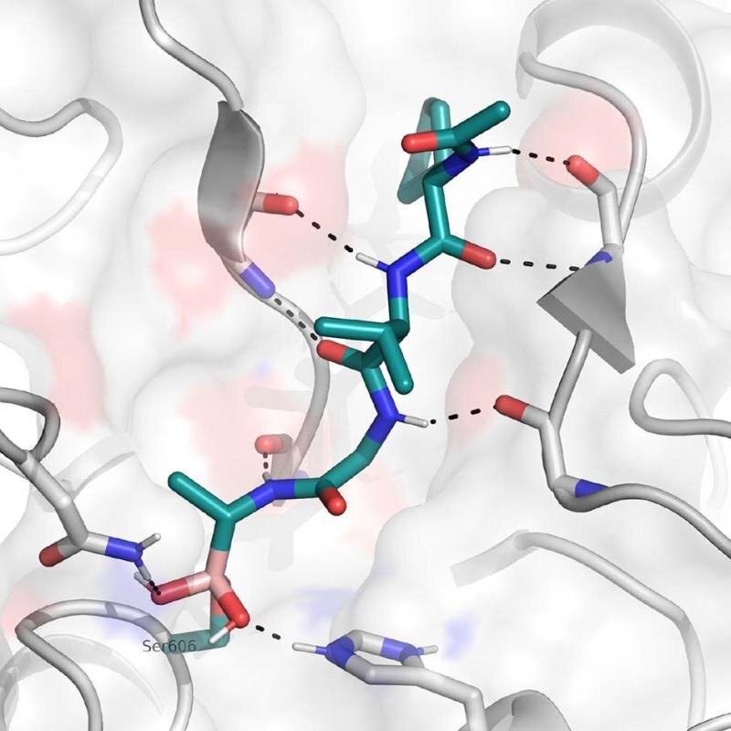 COVID-19 Impact on Pharmaceutical Packaging in Chemicals and Materials Industry