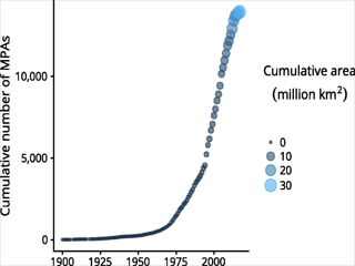 COVID-19 Impact on Pharmaceutical Packaging in Chemicals and Materials Industry