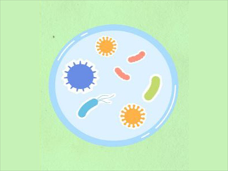 COVID-19 Impact on Pharmaceutical Packaging in Chemicals and Materials Industry