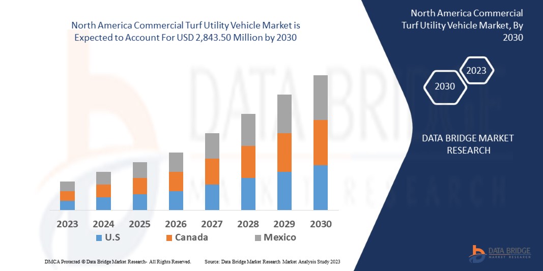 North America Commercial Turf Utility Vehicle Market