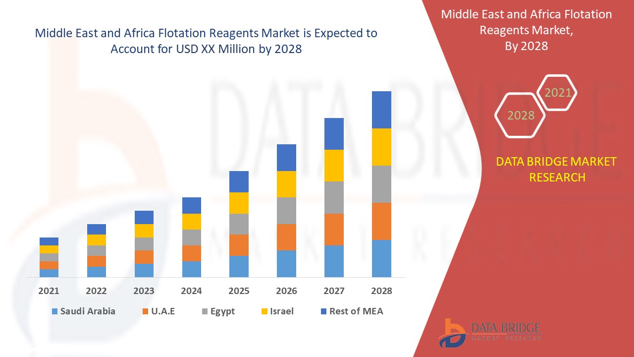 Middle East and Africa Flotation Reagents Market 