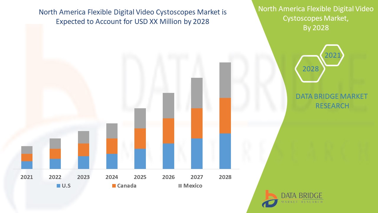 North America Flexible Digital Video Cystoscopes Market 