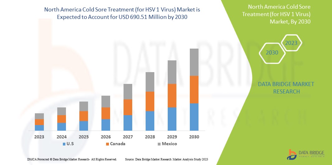 North America Cold Sore Treatment Market