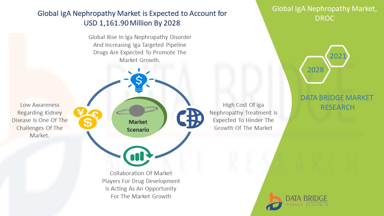 IgA Nephropathy Market 