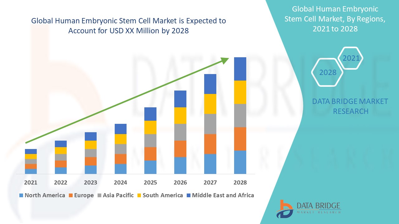 Human Embryonic Stem Cell Market 
