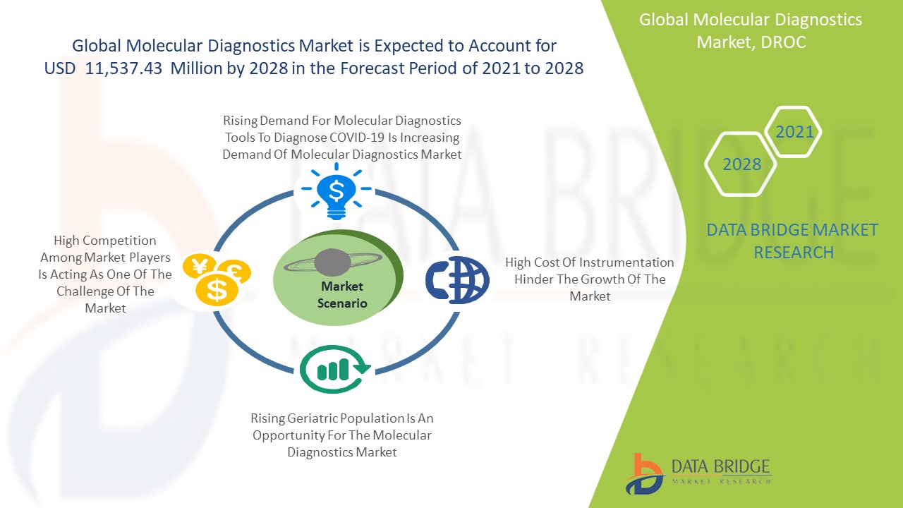 Global Molecular Diagnostics Market Research Report, Future Demand and ...