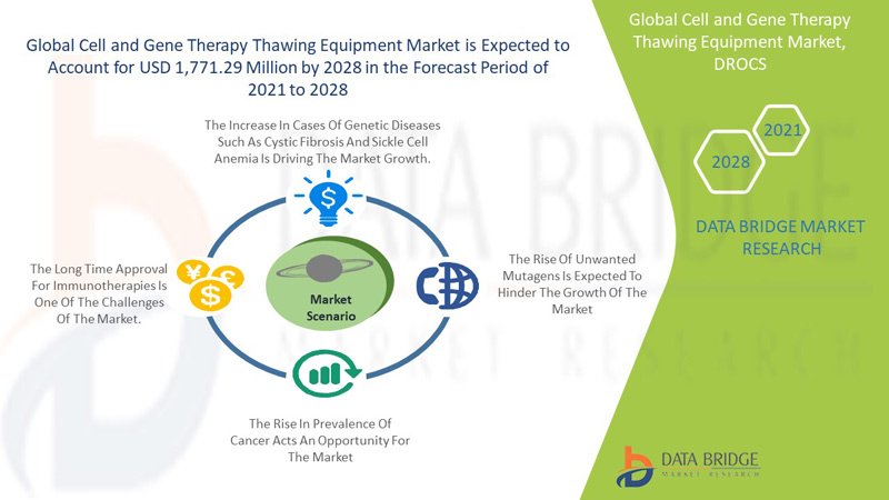 Cell and Gene Therapy Thawing Equipment Market 