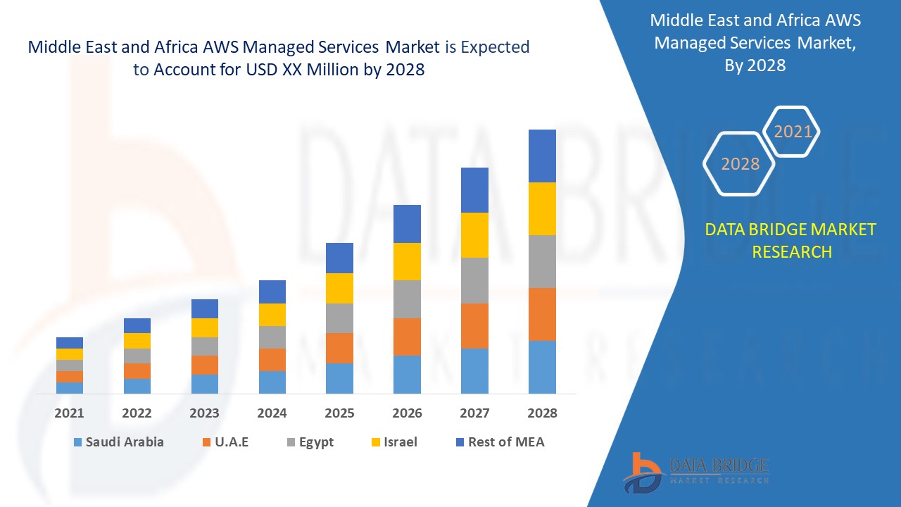 Middle East and Africa AWS Managed Services Market 