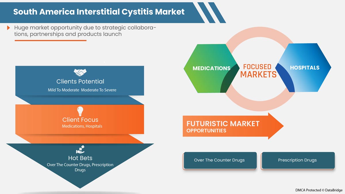 North America Interstitial Cystitis Market Report – Industry Trends and ...