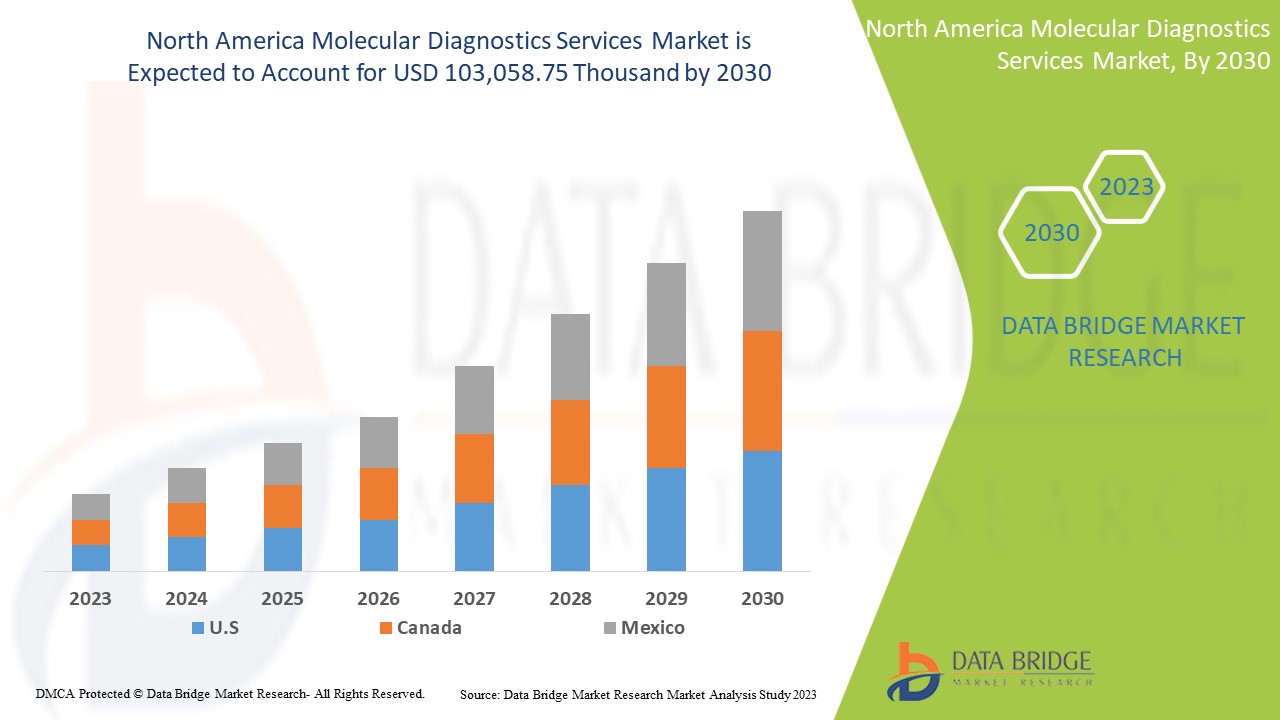 North America Molecular Diagnostics Services Market