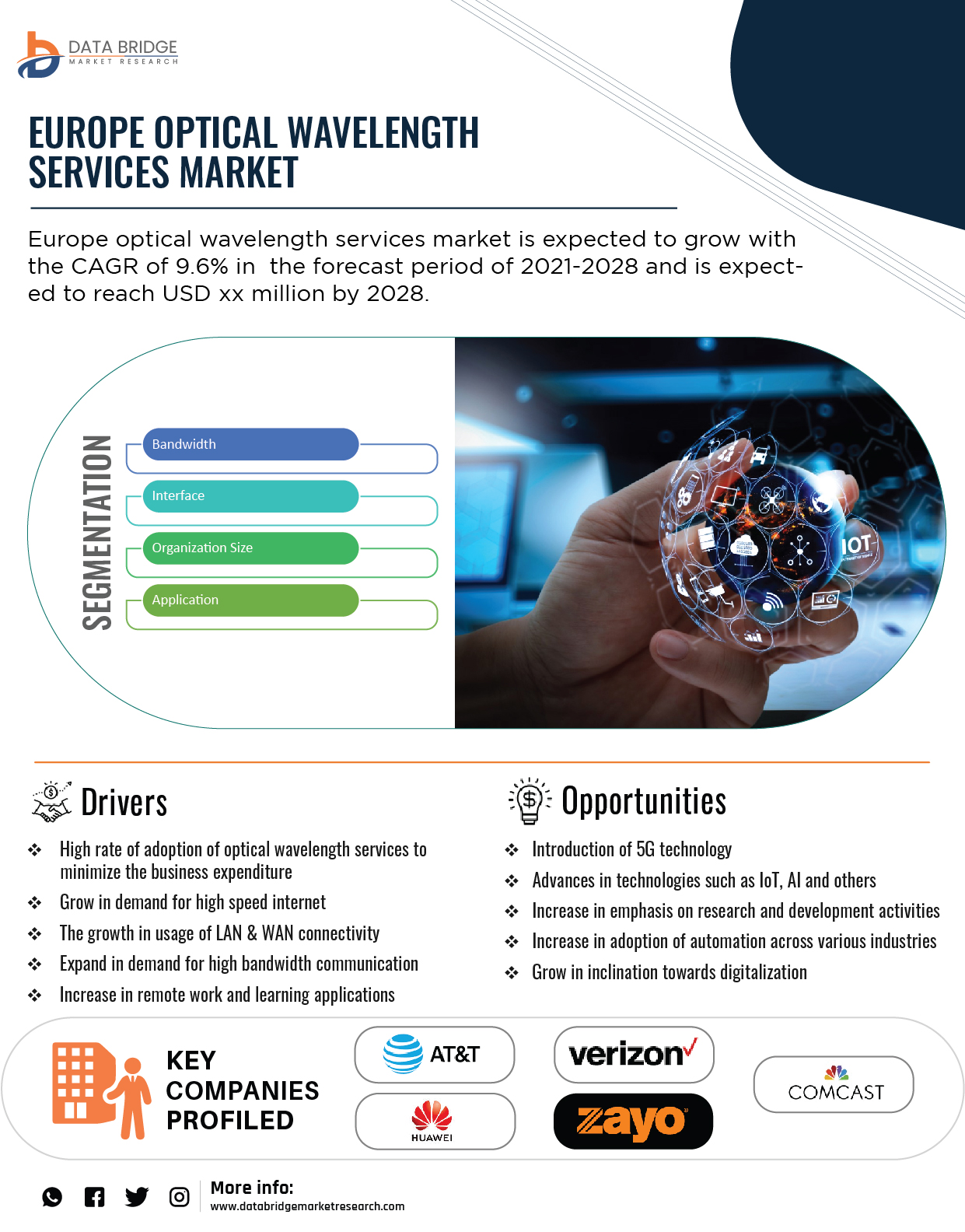 Europe Optical Wavelength Services Market