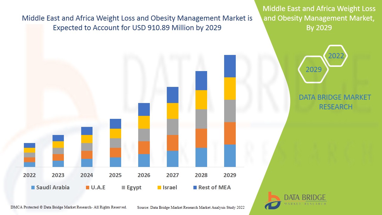 Middle East and Africa Weight Loss and Obesity Management Market