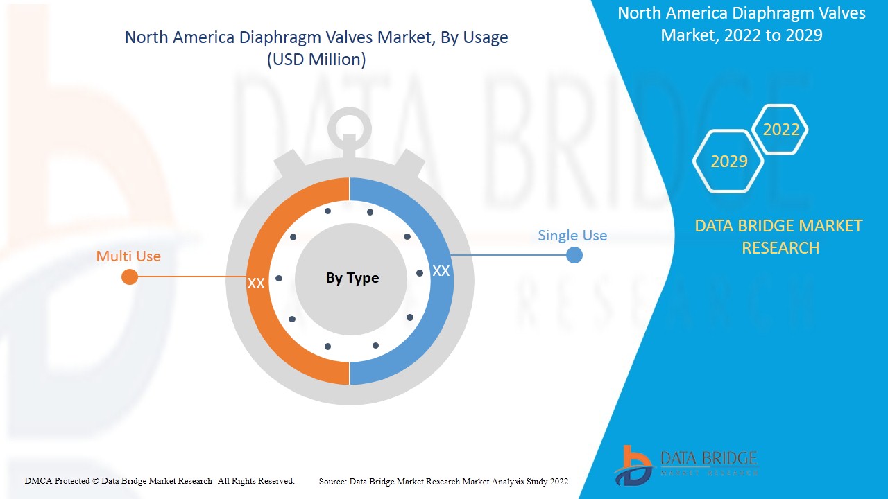 North America Diaphragm Valves Market