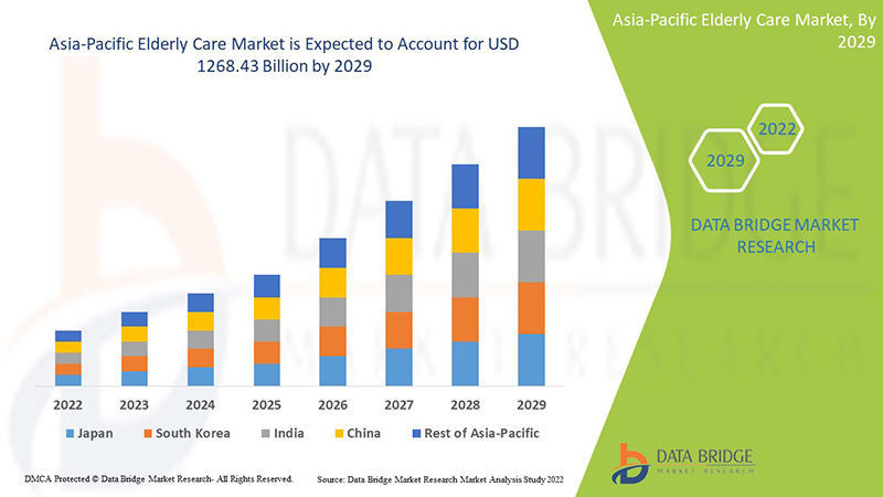 Asia-Pacific Elderly Care Market