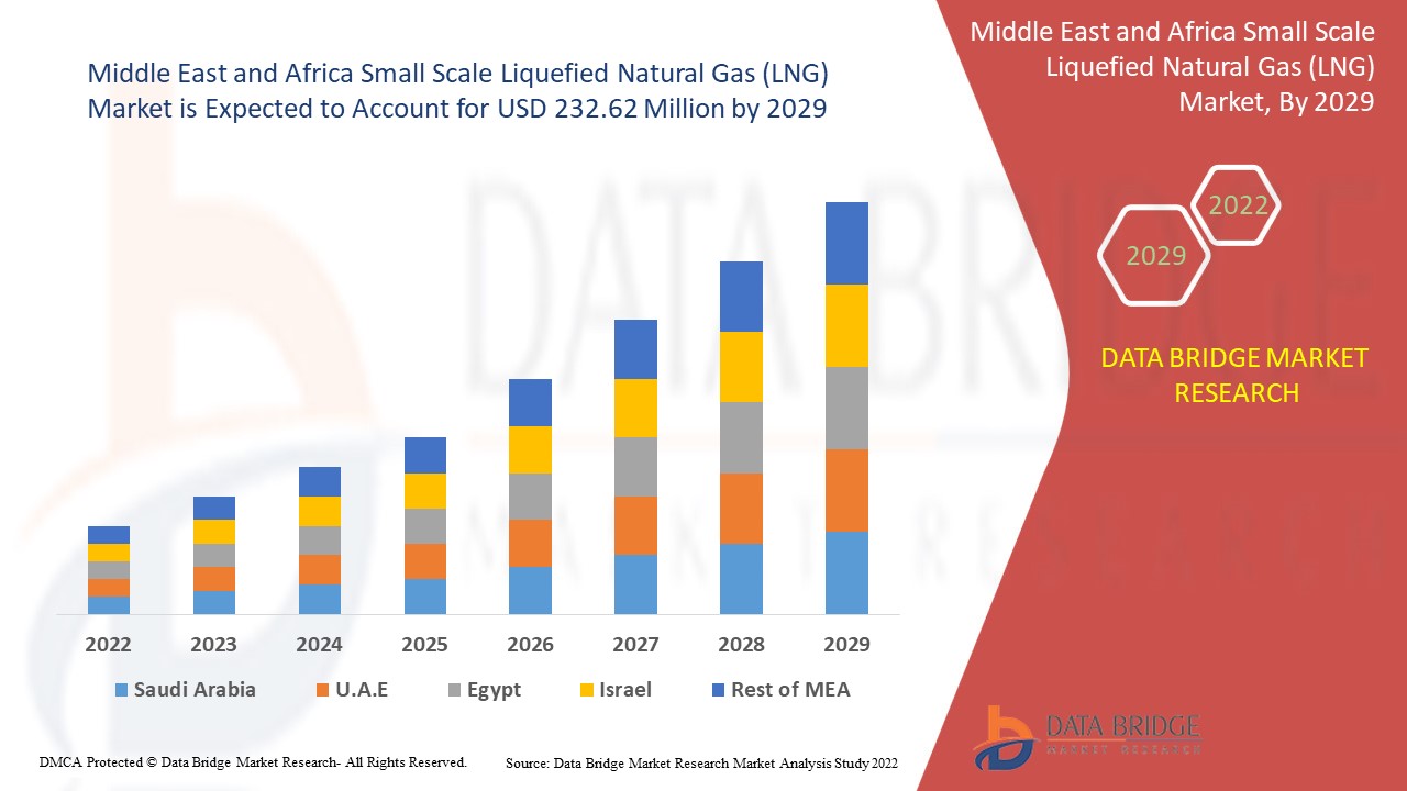 Middle East and Africa Small Scale Liquefied Natural Gas (LNG) Market