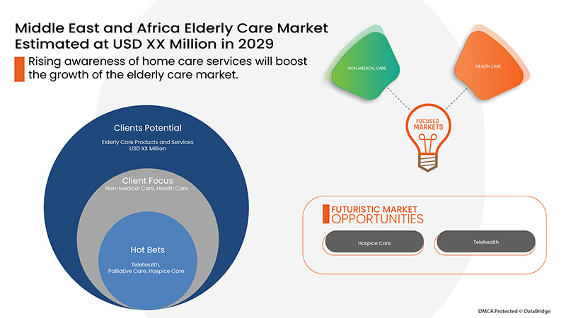 Elderly Care Market