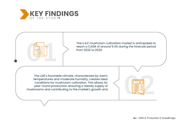 U.A.E Mushroom Cultivation Market