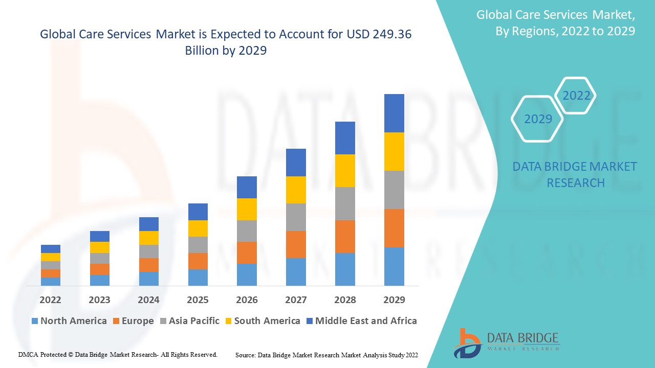 Care Services Market