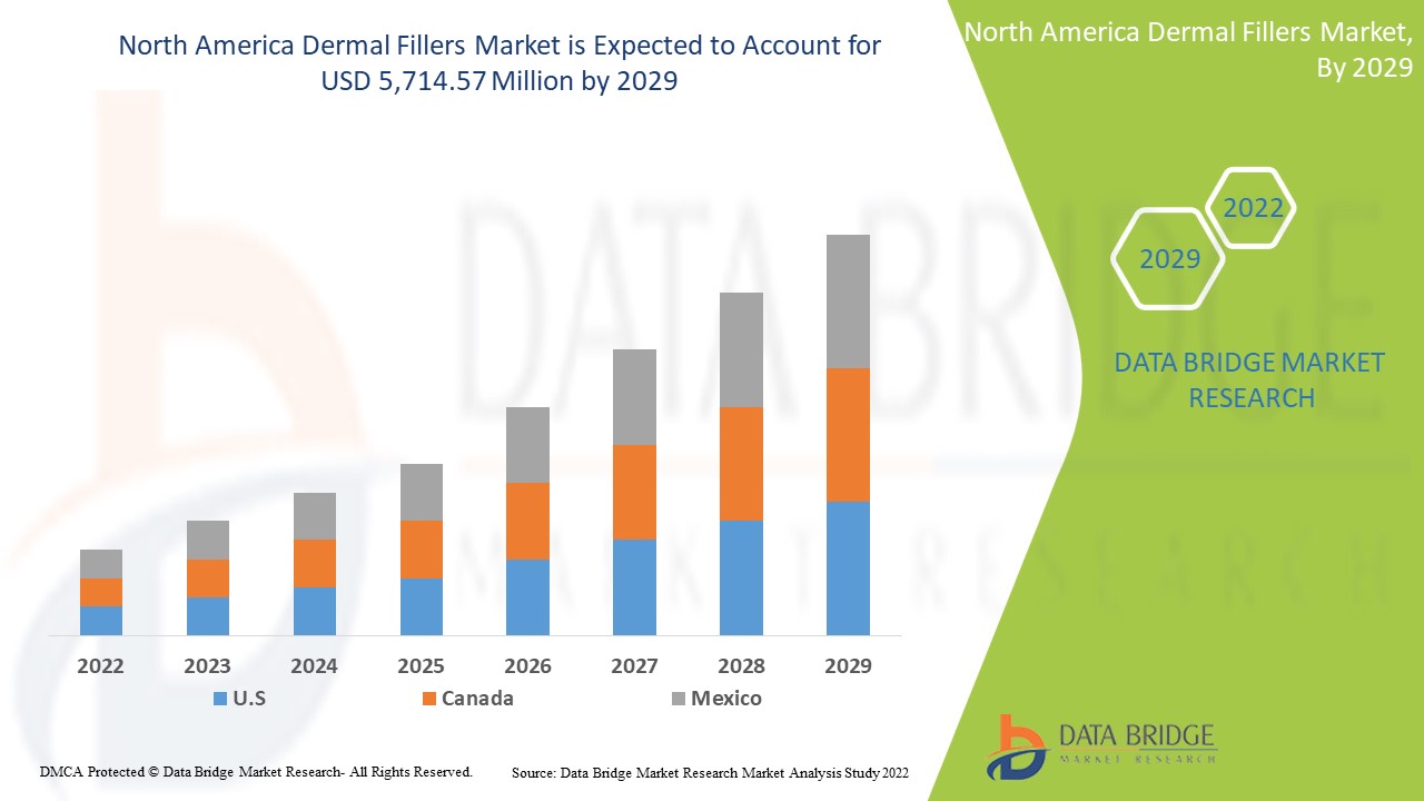 North America Dermal Fillers Market