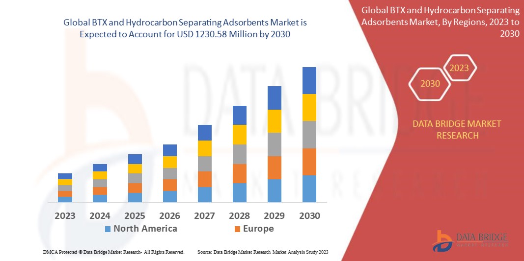 BTX and Hydrocarbon Separating Adsorbents Market