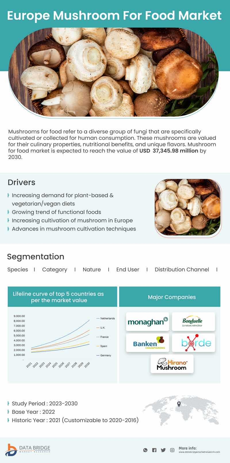 Europe Mushroom for Food Market