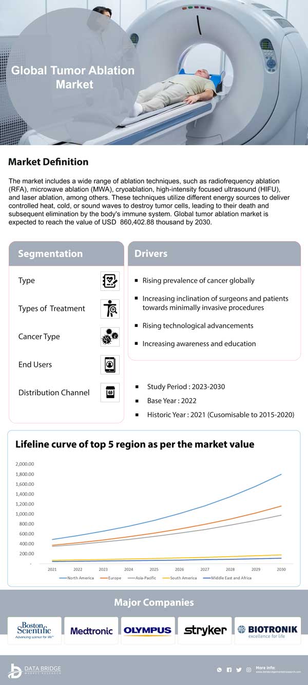 Tumor Ablation Market