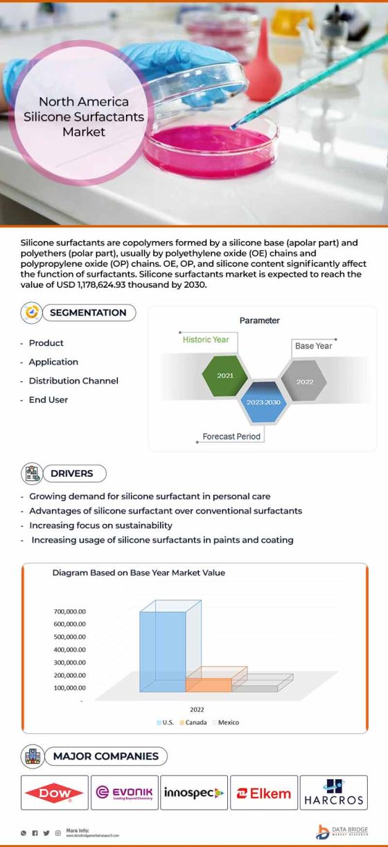 North America Silicone Surfactants Market