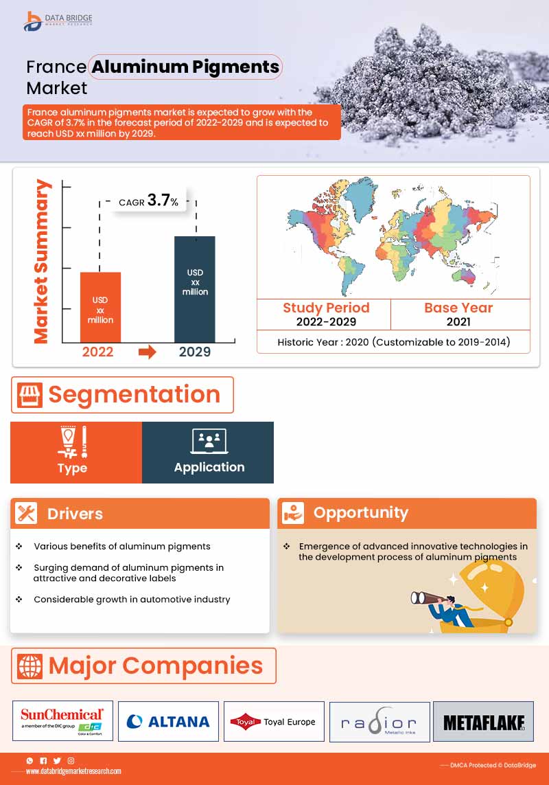 France Aluminum Pigments Market