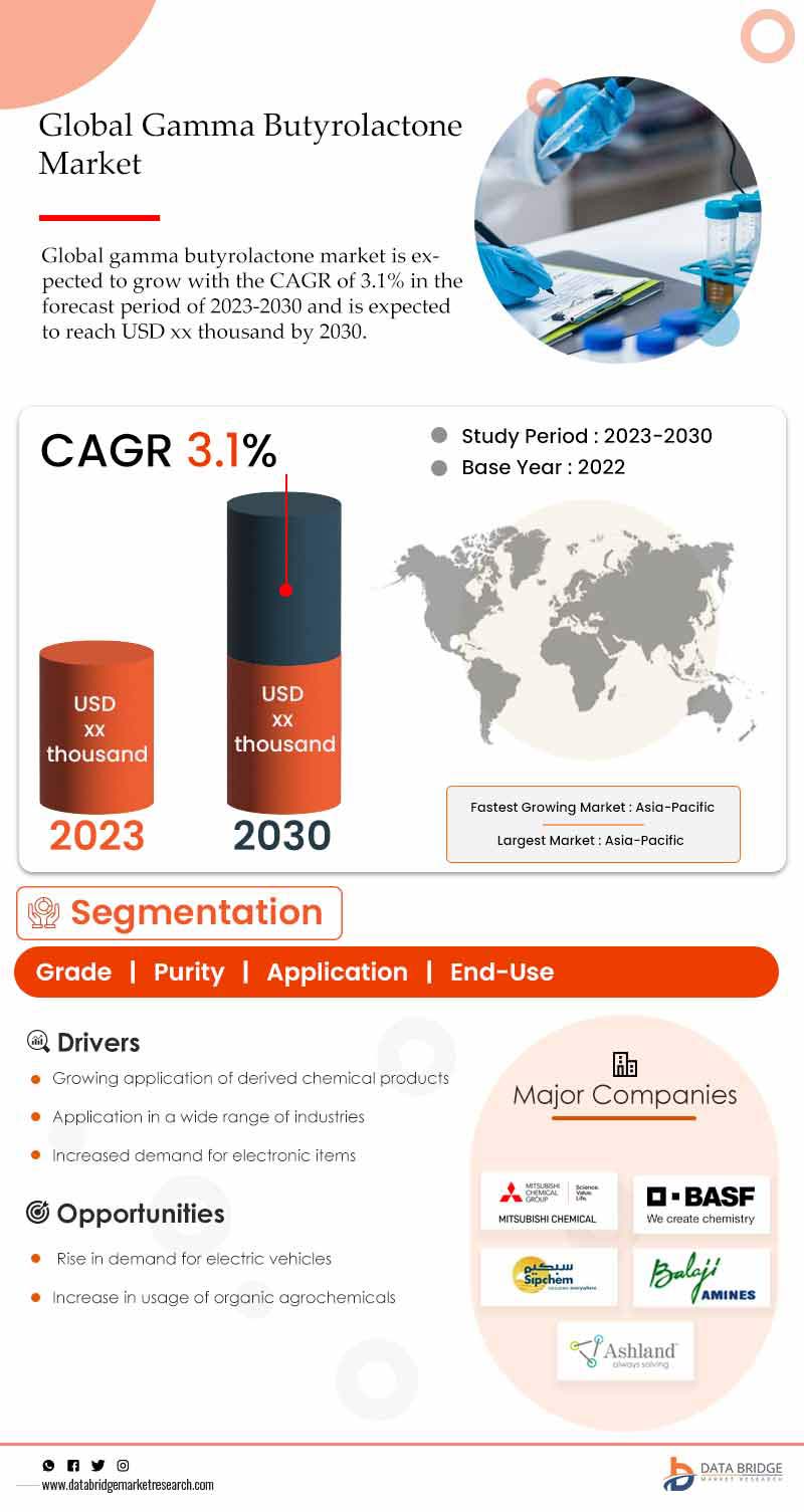 Gamma Butyrolactone Market