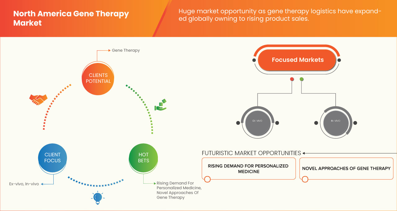 North America Gene Therapy Market
