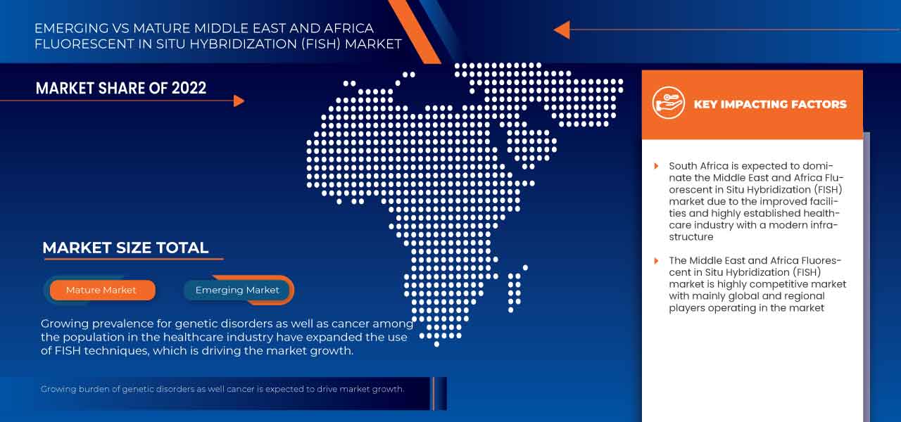 Middle East and Africa Fluorescent in Situ Hybridization (FISH) Market