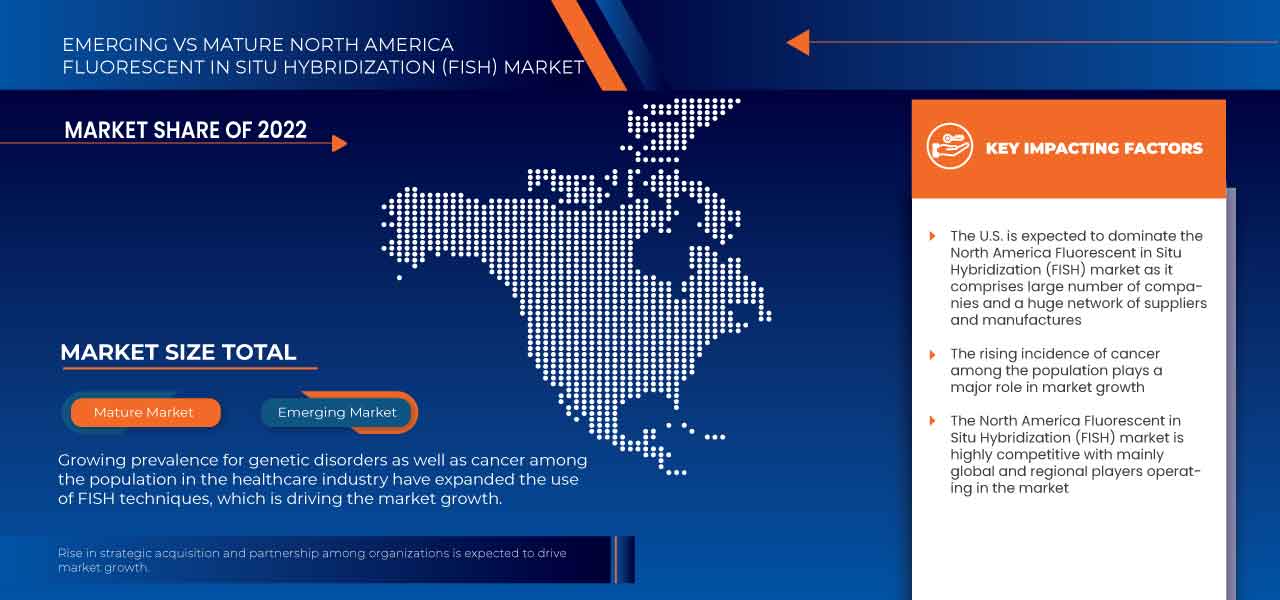 North America Fluorescent in Situ Hybridization (FISH) Market