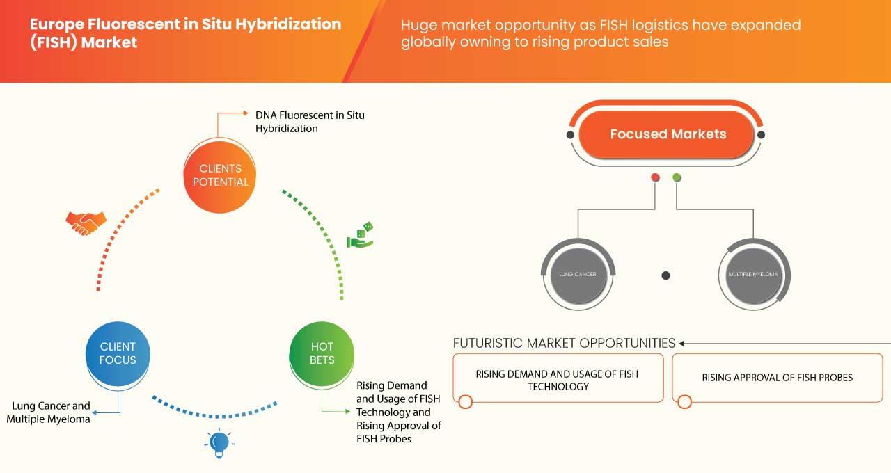 Europe Fluorescent in Situ Hybridization (FISH) Market