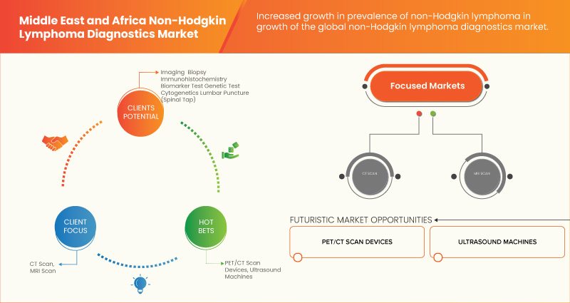 Middle East and Africa Non-Hodgkin Lymphoma Diagnostics Market