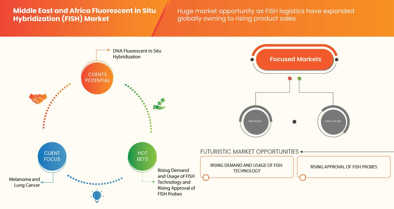 Middle East and Africa Fluorescent in Situ Hybridization (FISH) Market