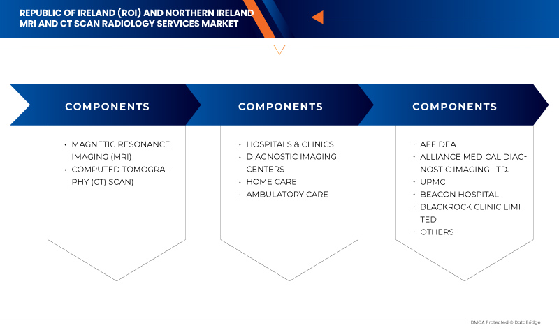 Republic of Ireland (ROI) MRI and CT Scan Radiology Services Market