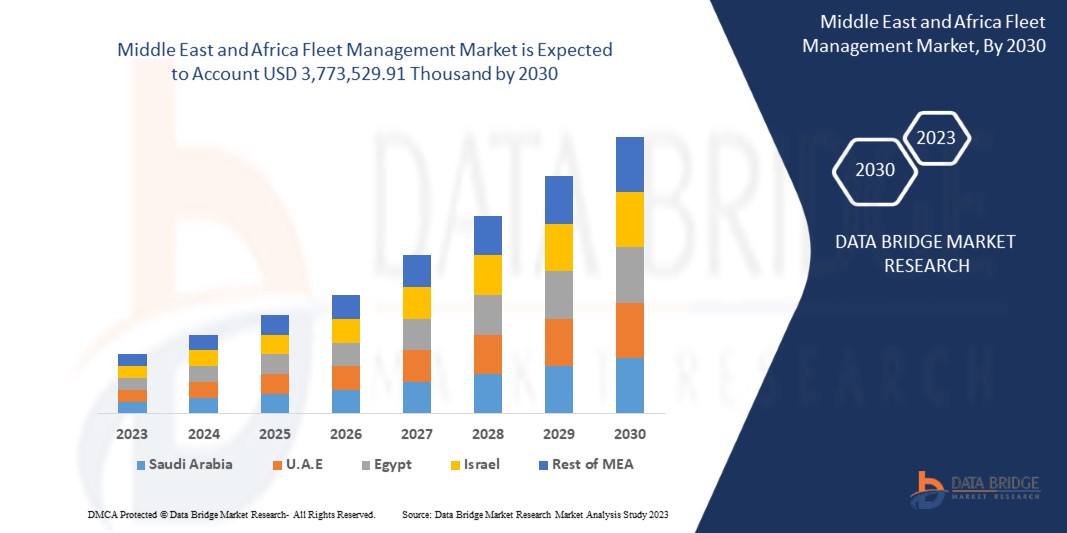 Middle East and Africa Fleet Management Market