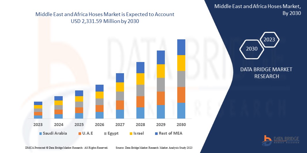 Middle East and Africa Hoses Market