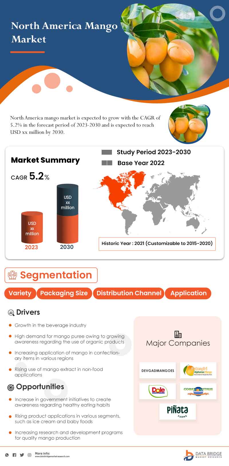 North America Mango Market