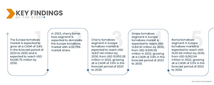 Europe Tomatoes Market