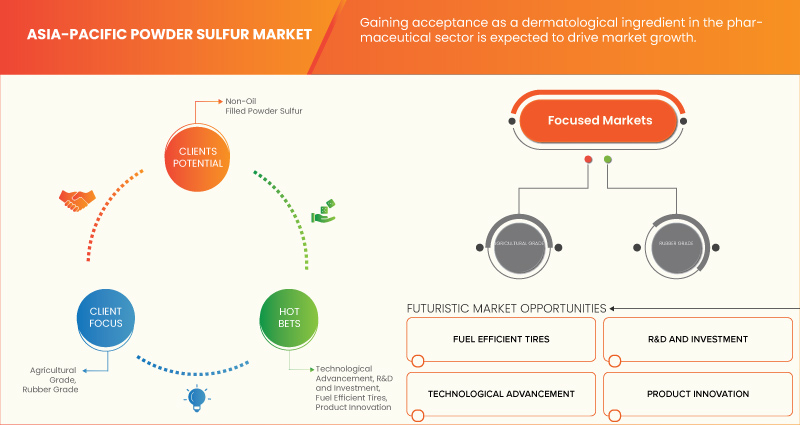 Asia-Pacific Powder Sulfur Market