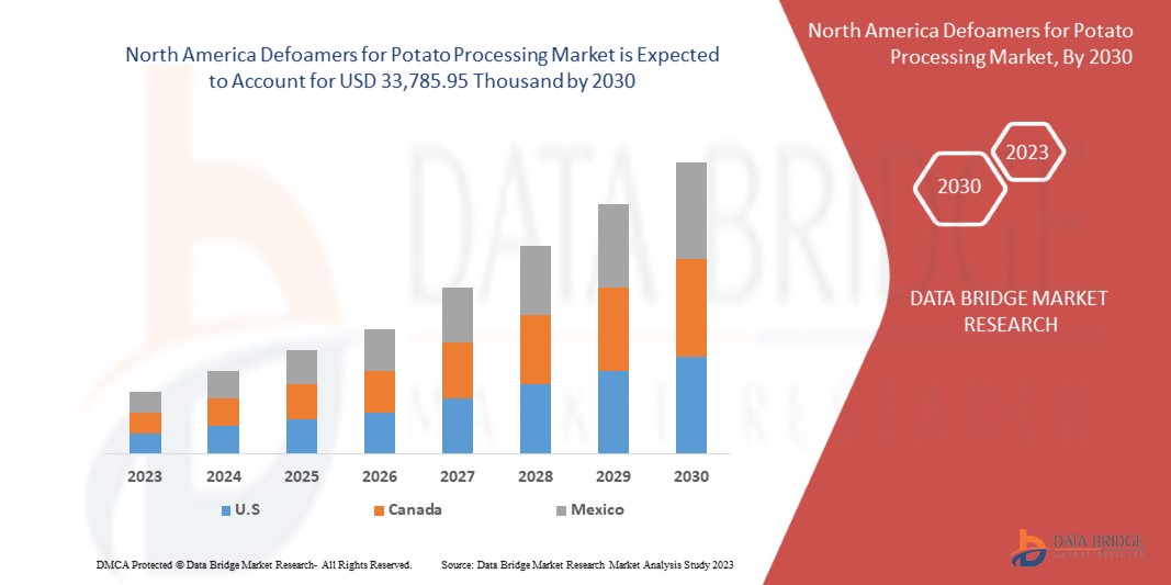 North America Defoamers for Potato Processing Market