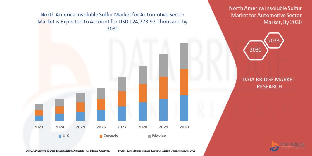 North America Insoluble Sulfur Market for Automotive Sector Market