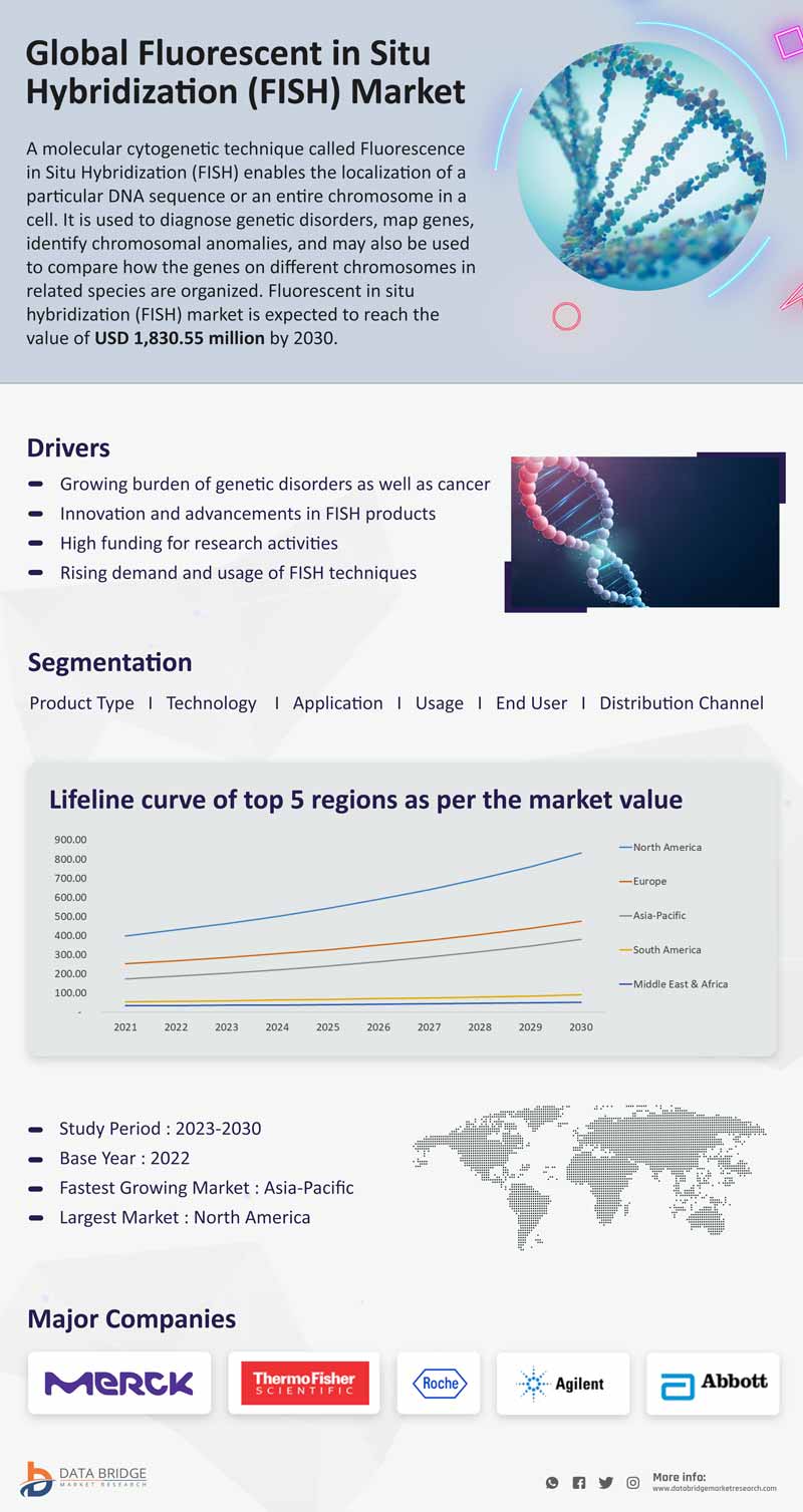 Fluorescent in Situ Hybridization (FISH) Market