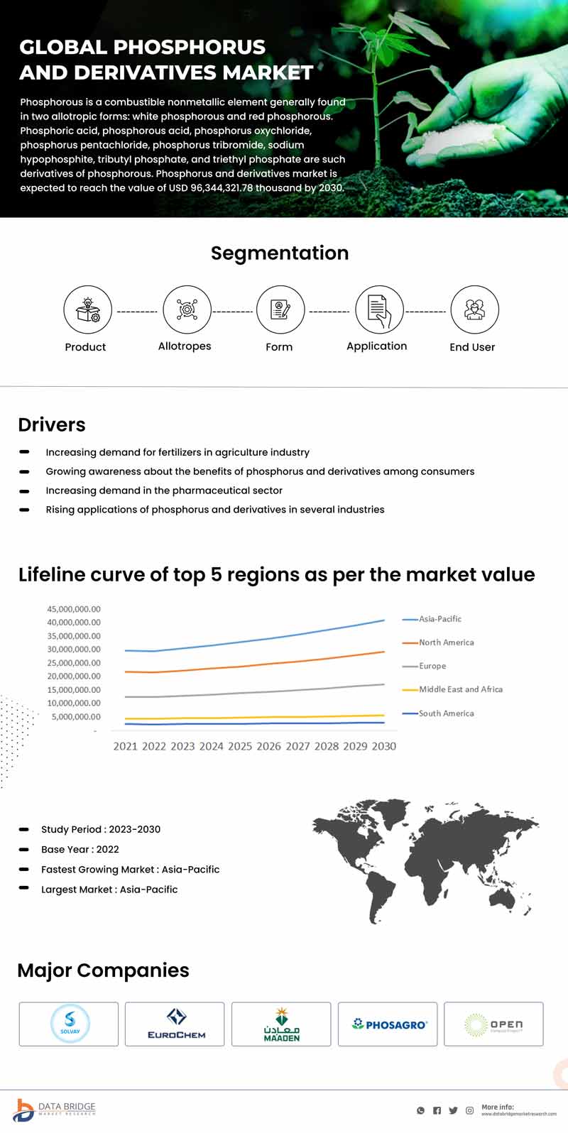 Phosphorus and Derivatives Market