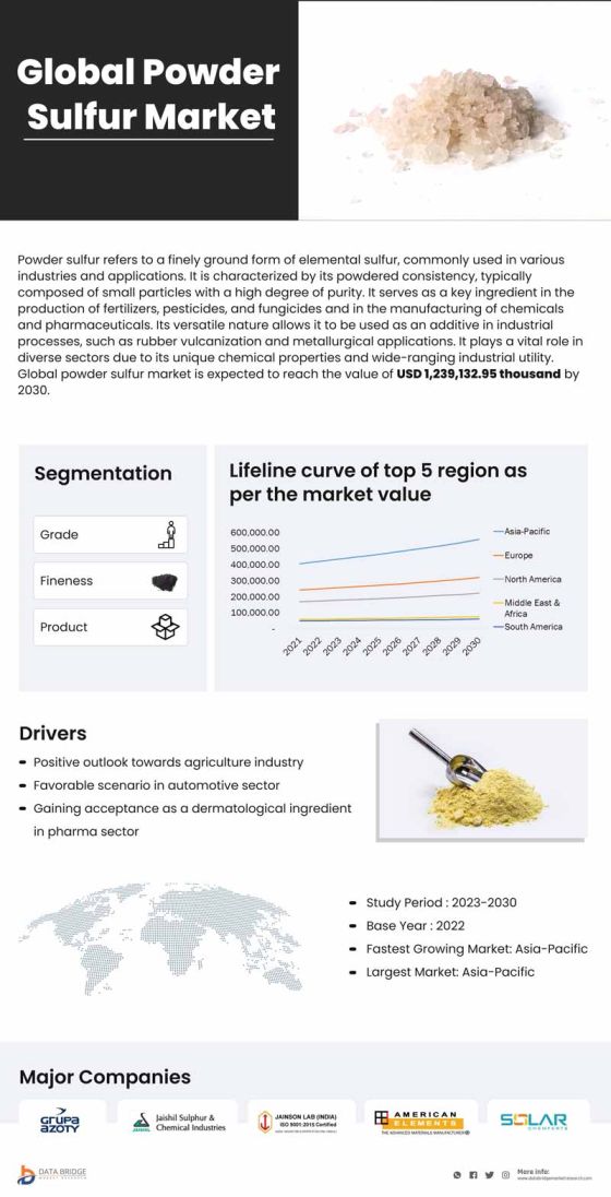 Powder Sulfur Market